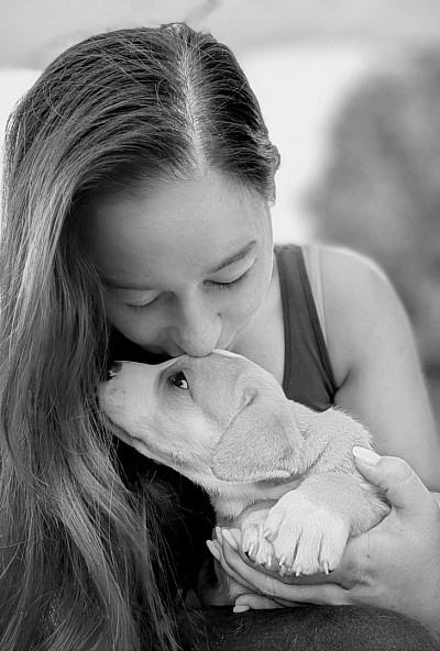 Hunde sind die besten Lehrer der Liebe - ohne Erwartungen